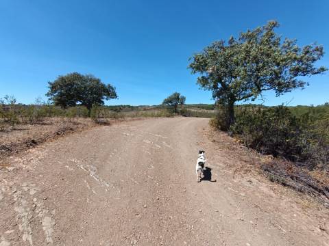 TERRENO RUSTICO COM 4.520 M2 - PRÓXIMO DA CORTE DO GAGO EM CASTRO MARIM - ALGARVE