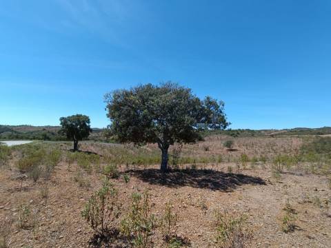 TERRENO RUSTICO COM 4.520 M2 - PRÓXIMO DA CORTE DO GAGO EM CASTRO MARIM - ALGARVE