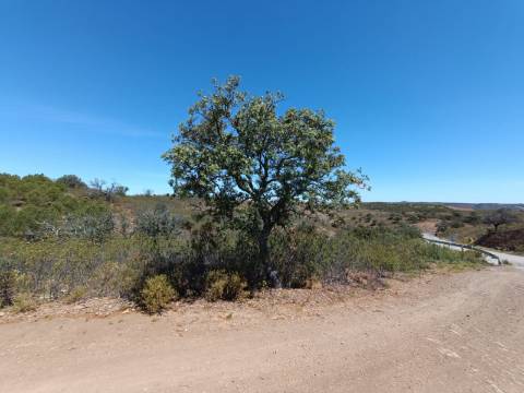 TERRENO RUSTICO COM 4.520 M2 - PRÓXIMO DA CORTE DO GAGO EM CASTRO MARIM - ALGARVE
