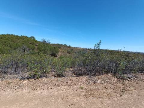 TERRENO RUSTICO COM 4.520 M2 - PRÓXIMO DA CORTE DO GAGO EM CASTRO MARIM - ALGARVE