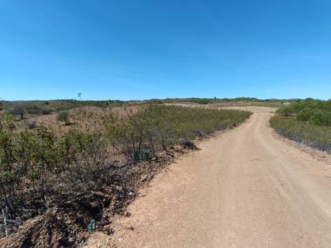 TERRENO RUSTICO COM 4.520 M2 - PRÓXIMO DA CORTE DO GAGO EM CASTRO MARIM - ALGARVE