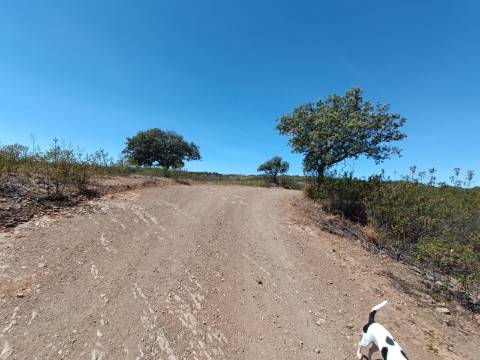 TERRENO RUSTICO COM 4.520 M2 - PRÓXIMO DA CORTE DO GAGO EM CASTRO MARIM - ALGARVE