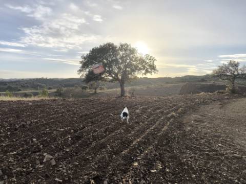 TERRENO RUSTICO COM 4.520 M2 - PRÓXIMO DA CORTE DO GAGO EM CASTRO MARIM - ALGARVE