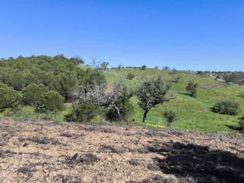 TERRENO RUSTICO COM 4.520 M2 - PRÓXIMO DA CORTE DO GAGO EM CASTRO MARIM - ALGARVE