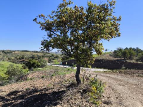 TERRENO RUSTICO COM 4.520 M2 - PRÓXIMO DA CORTE DO GAGO EM CASTRO MARIM - ALGARVE