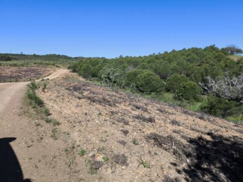 TERRENO RUSTICO COM 4.520 M2 - PRÓXIMO DA CORTE DO GAGO EM CASTRO MARIM - ALGARVE