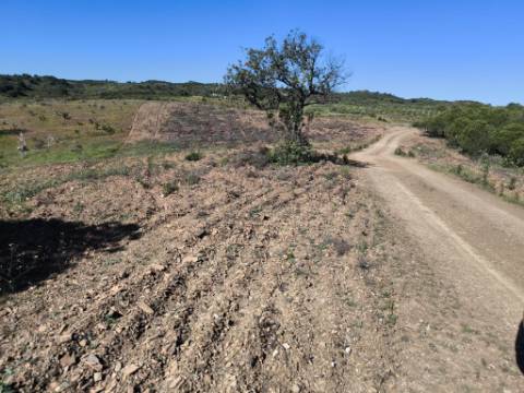 TERRENO RUSTICO COM 4.520 M2 - PRÓXIMO DA CORTE DO GAGO EM CASTRO MARIM - ALGARVE
