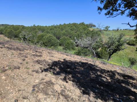 TERRENO RUSTICO COM 4.520 M2 - PRÓXIMO DA CORTE DO GAGO EM CASTRO MARIM - ALGARVE