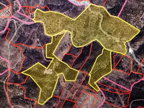 TERRENO COM 15.6 HECTARES - POSSIBILIDADE DE CONSTRUÇÃO - HABITAÇÃO - TURISMO - AZINHAL - CASTRO MARIM - ALGARVE