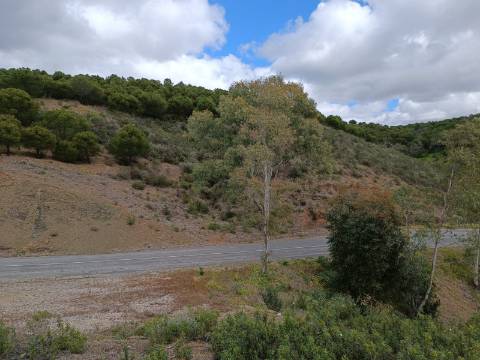 TERRENO COM 15.6 HECTARES - POSSIBILIDADE DE CONSTRUÇÃO - HABITAÇÃO - TURISMO - AZINHAL - CASTRO MARIM - ALGARVE