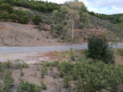 TERRENO COM 15.6 HECTARES - POSSIBILIDADE DE CONSTRUÇÃO - HABITAÇÃO - TURISMO - AZINHAL - CASTRO MARIM - ALGARVE