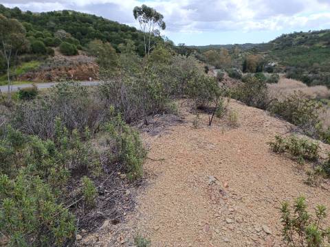 TERRENO COM 15.6 HECTARES - POSSIBILIDADE DE CONSTRUÇÃO - HABITAÇÃO - TURISMO - AZINHAL - CASTRO MARIM - ALGARVE