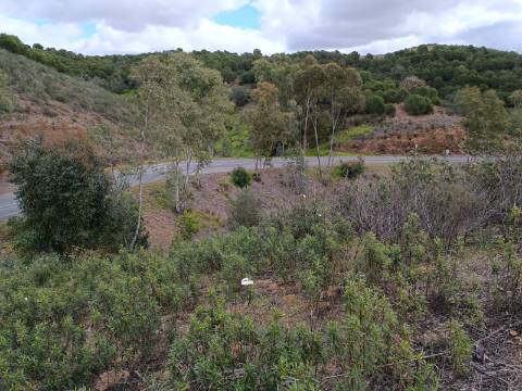 TERRENO COM 15.6 HECTARES - POSSIBILIDADE DE CONSTRUÇÃO - HABITAÇÃO - TURISMO - AZINHAL - CASTRO MARIM - ALGARVE