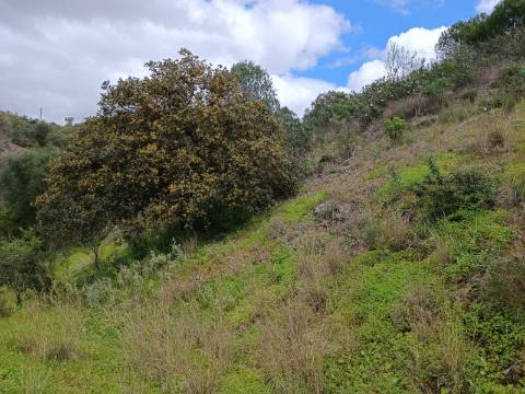 TERRENO COM 15.6 HECTARES - POSSIBILIDADE DE CONSTRUÇÃO - HABITAÇÃO - TURISMO - AZINHAL - CASTRO MARIM - ALGARVE