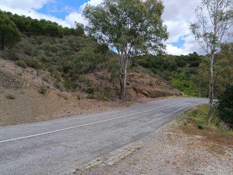 TERRENO COM 15.6 HECTARES - POSSIBILIDADE DE CONSTRUÇÃO - HABITAÇÃO - TURISMO - AZINHAL - CASTRO MARIM - ALGARVE