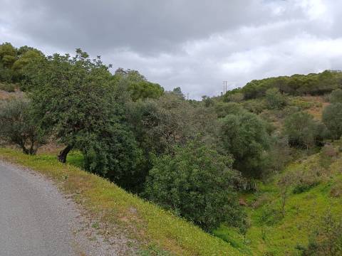 TERRENO COM 15.6 HECTARES - POSSIBILIDADE DE CONSTRUÇÃO - HABITAÇÃO - TURISMO - AZINHAL - CASTRO MARIM - ALGARVE