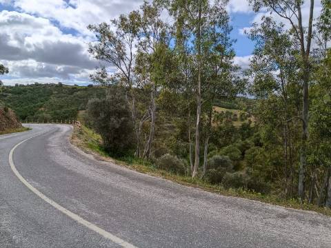 TERRENO COM 15.6 HECTARES - POSSIBILIDADE DE CONSTRUÇÃO - HABITAÇÃO - TURISMO - AZINHAL - CASTRO MARIM - ALGARVE