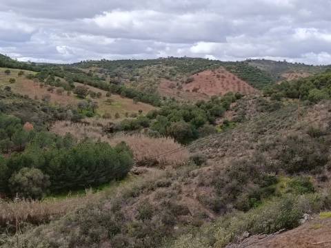 TERRENO COM 15.6 HECTARES - POSSIBILIDADE DE CONSTRUÇÃO - HABITAÇÃO - TURISMO - AZINHAL - CASTRO MARIM - ALGARVE