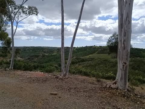 TERRENO COM 15.6 HECTARES - POSSIBILIDADE DE CONSTRUÇÃO - HABITAÇÃO - TURISMO - AZINHAL - CASTRO MARIM - ALGARVE