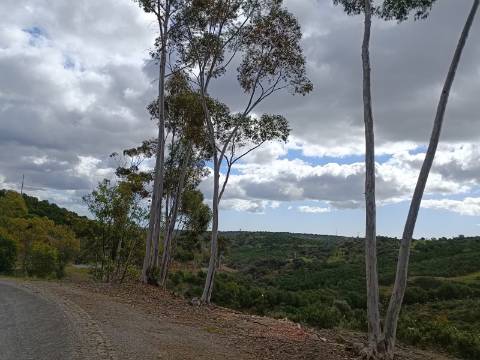 TERRENO COM 15.6 HECTARES - POSSIBILIDADE DE CONSTRUÇÃO - HABITAÇÃO - TURISMO - AZINHAL - CASTRO MARIM - ALGARVE