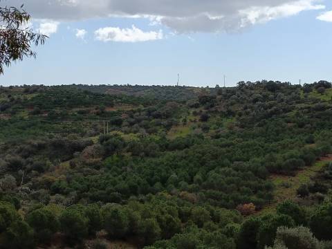 TERRENO COM 15.6 HECTARES - POSSIBILIDADE DE CONSTRUÇÃO - HABITAÇÃO - TURISMO - AZINHAL - CASTRO MARIM - ALGARVE