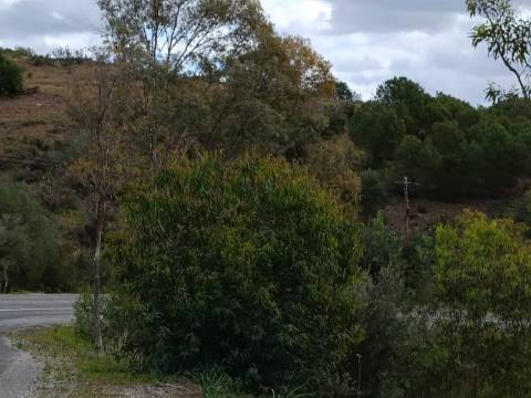 TERRENO COM 15.6 HECTARES - POSSIBILIDADE DE CONSTRUÇÃO - HABITAÇÃO - TURISMO - AZINHAL - CASTRO MARIM - ALGARVE