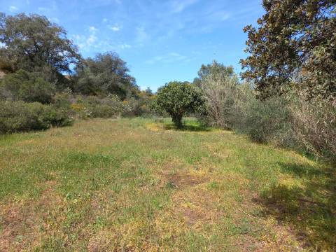 TERRENO RUSTICO COM 2.320 M2 - PLANO - ÁGUA - ELETRICIDADE - PISA BARRO - CASTRO MARIM - ALGARVE