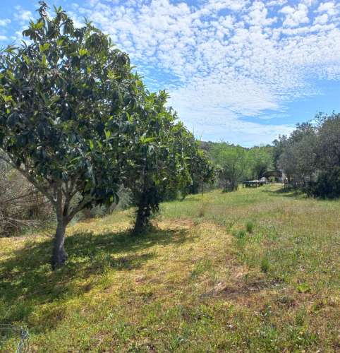 TERRENO RUSTICO COM 2.320 M2 - PLANO - ÁGUA - ELETRICIDADE - PISA BARRO - CASTRO MARIM - ALGARVE