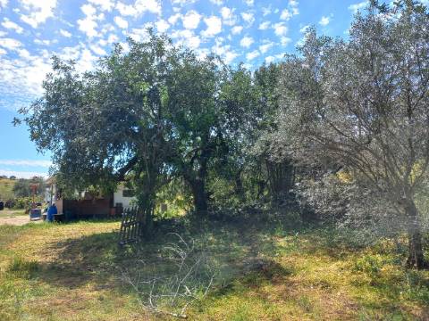 TERRENO RUSTICO COM 2.320 M2 - PLANO - ÁGUA - ELETRICIDADE - PISA BARRO - CASTRO MARIM - ALGARVE