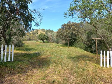 TERRENO RUSTICO COM 2.320 M2 - PLANO - ÁGUA - ELETRICIDADE - PISA BARRO - CASTRO MARIM - ALGARVE