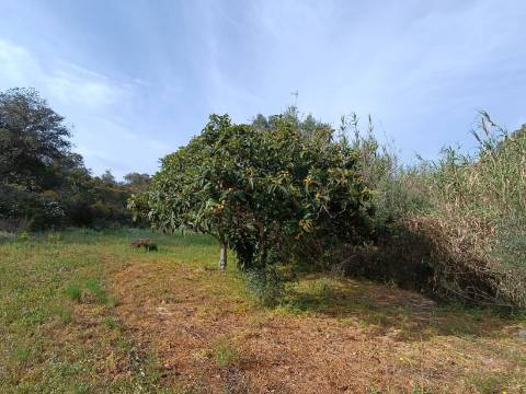 TERRENO RUSTICO COM 2.320 M2 - PLANO - ÁGUA - ELETRICIDADE - PISA BARRO - CASTRO MARIM - ALGARVE