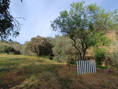 TERRENO RUSTICO COM 2.320 M2 - PLANO - ÁGUA - ELETRICIDADE - PISA BARRO - CASTRO MARIM - ALGARVE