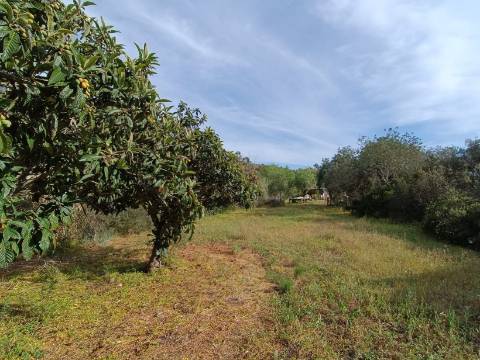 TERRENO RUSTICO COM 2.320 M2 - PLANO - ÁGUA - ELETRICIDADE - PISA BARRO - CASTRO MARIM - ALGARVE