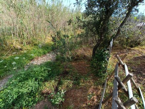 TERRENO RUSTICO COM 2.320 M2 - PLANO - ÁGUA - ELETRICIDADE - PISA BARRO - CASTRO MARIM - ALGARVE