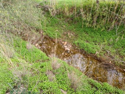 TERRENO RUSTICO COM 2.320 M2 - PLANO - ÁGUA - ELETRICIDADE - PISA BARRO - CASTRO MARIM - ALGARVE