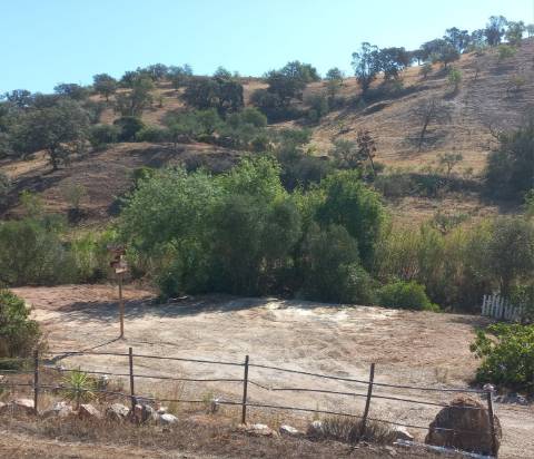 TERRENO RUSTICO COM 2.320 M2 - PLANO - ÁGUA - ELETRICIDADE - PISA BARRO - CASTRO MARIM - ALGARVE