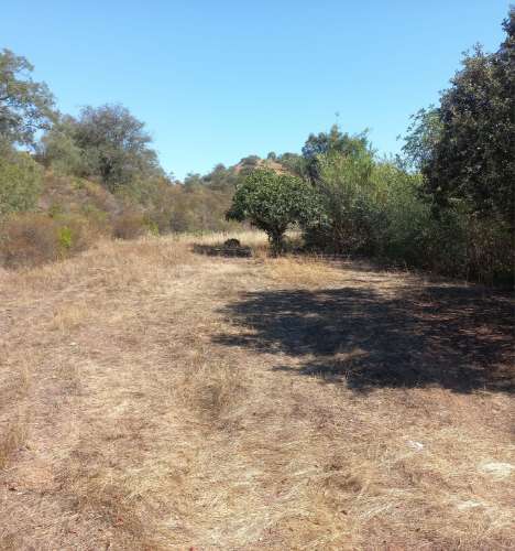 TERRENO RUSTICO COM 2.320 M2 - PLANO - ÁGUA - ELETRICIDADE - PISA BARRO - CASTRO MARIM - ALGARVE