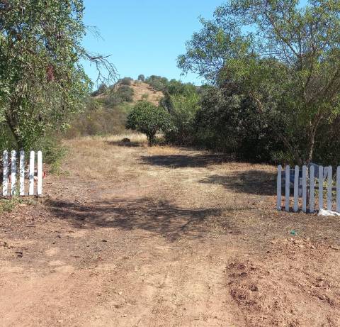 TERRENO RUSTICO COM 2.320 M2 - PLANO - ÁGUA - ELETRICIDADE - PISA BARRO - CASTRO MARIM - ALGARVE