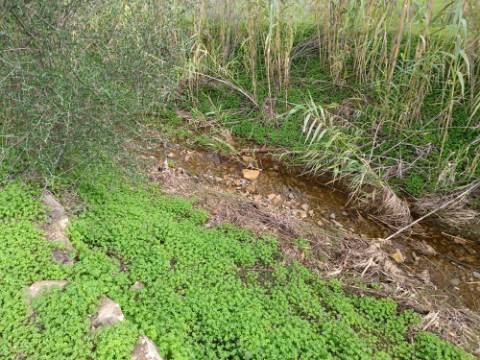 TERRENO RUSTICO COM 2.320 M2 - PLANO - ÁGUA - ELETRICIDADE - PISA BARRO - CASTRO MARIM - ALGARVE