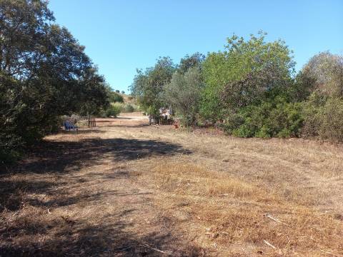 TERRENO RUSTICO COM 2.320 M2 - PLANO - ÁGUA - ELETRICIDADE - PISA BARRO - CASTRO MARIM - ALGARVE