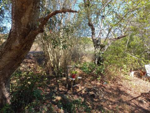 TERRENO RUSTICO COM 2.320 M2 - PLANO - ÁGUA - ELETRICIDADE - PISA BARRO - CASTRO MARIM - ALGARVE