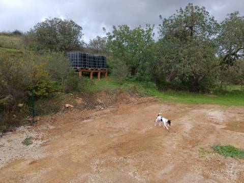 TERRENO RUSTICO COM 2.320 M2 - PLANO - ÁGUA - ELETRICIDADE - PISA BARRO - CASTRO MARIM - ALGARVE