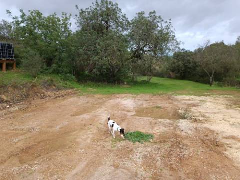 TERRENO RUSTICO COM 2.320 M2 - PLANO - ÁGUA - ELETRICIDADE - PISA BARRO - CASTRO MARIM - ALGARVE
