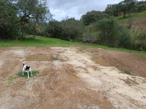 TERRENO RUSTICO COM 2.320 M2 - PLANO - ÁGUA - ELETRICIDADE - PISA BARRO - CASTRO MARIM - ALGARVE