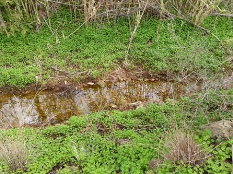 TERRENO RUSTICO COM 2.320 M2 - PLANO - ÁGUA - ELETRICIDADE - PISA BARRO - CASTRO MARIM - ALGARVE