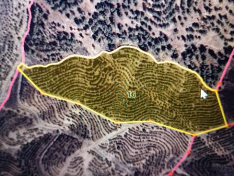 TERRENO COM 33.600 M2 - POSSIBILIDADE DE CONSTRUIR ARMAZEM - PRÓXIMO AZINHAL EM CASTRO MARIM - ALGARVE