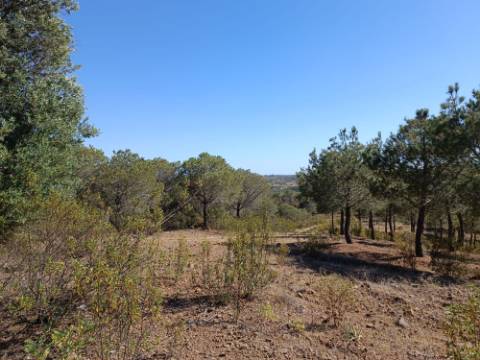 TERRENO COM 33.600 M2 - POSSIBILIDADE DE CONSTRUIR ARMAZEM - PRÓXIMO AZINHAL EM CASTRO MARIM - ALGARVE