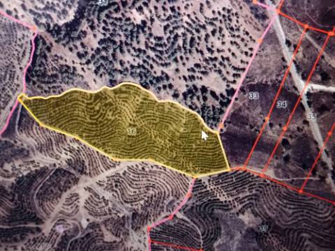 TERRENO COM 33.600 M2 - POSSIBILIDADE DE CONSTRUIR ARMAZEM - PRÓXIMO AZINHAL EM CASTRO MARIM - ALGARVE