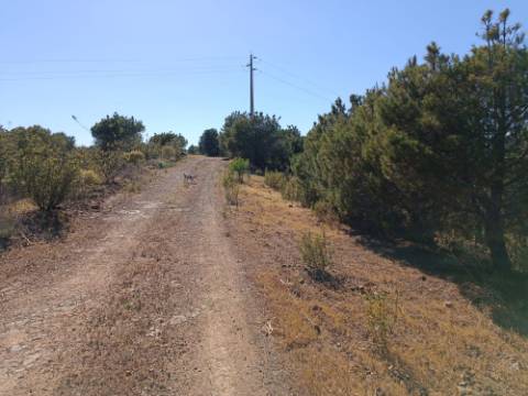 TERRENO COM 33.600 M2 - POSSIBILIDADE DE CONSTRUIR ARMAZEM - PRÓXIMO AZINHAL EM CASTRO MARIM - ALGARVE