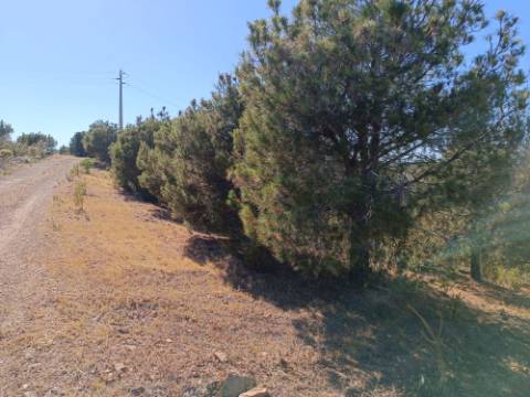 TERRENO COM 33.600 M2 - POSSIBILIDADE DE CONSTRUIR ARMAZEM - PRÓXIMO AZINHAL EM CASTRO MARIM - ALGARVE